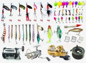 从零到行业领军 白手起家的电商渔具销售传奇