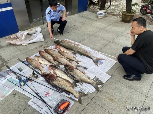 亮剑了！江西严查违规垂钓，3类钓鱼行为成执法重点，渔具销售迎新规